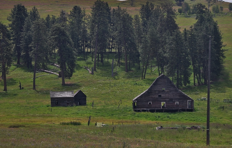 old barn and corral